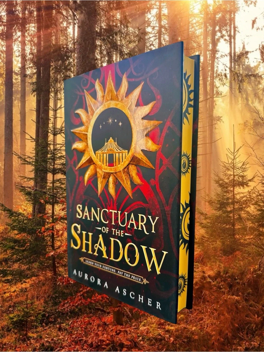 Sanctuary of the Shadow by Aurora Ascher Hardcover First Edition